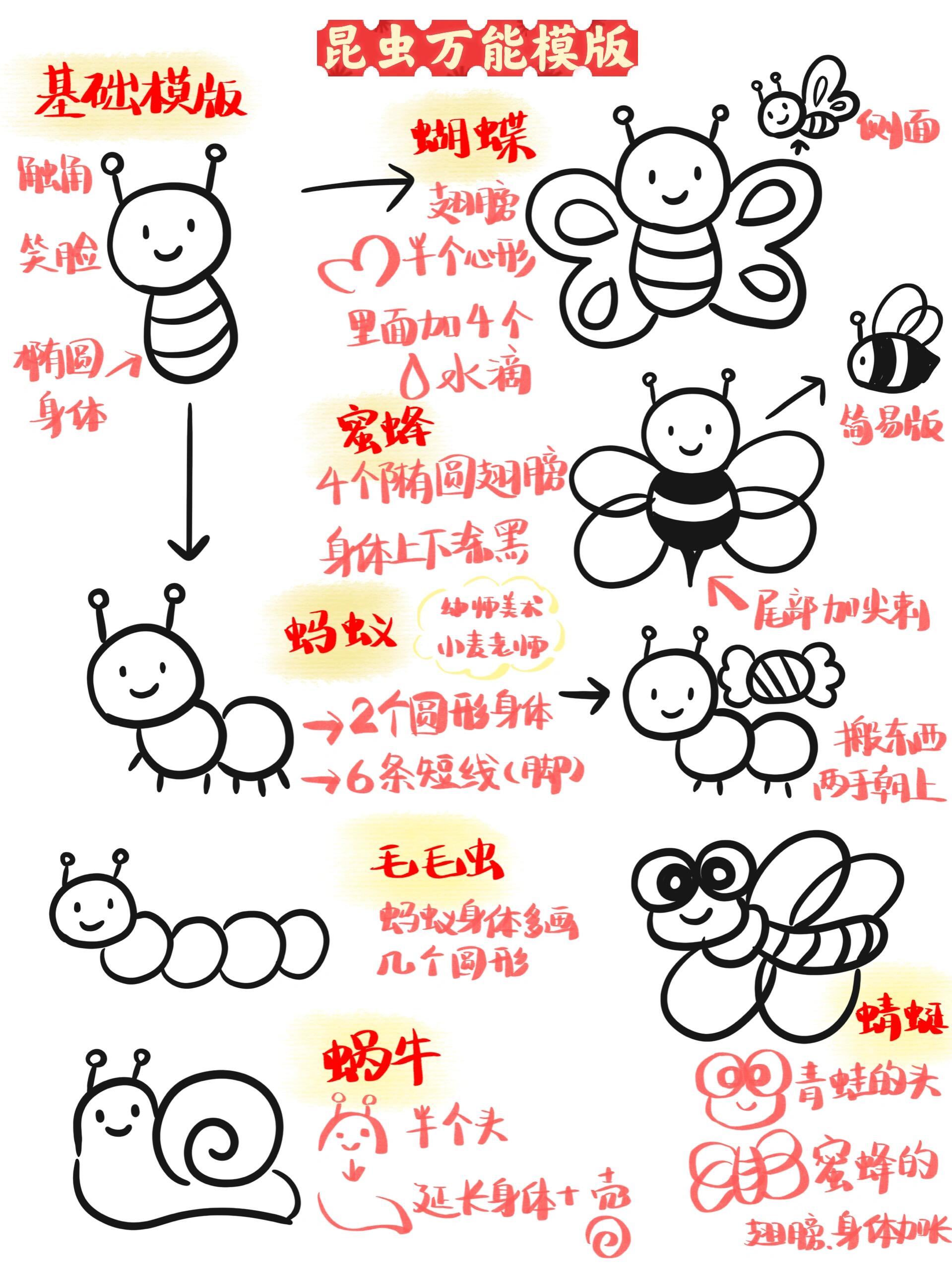 🔥教资,考编必看‼️1⃣️分钟学会画昆虫🐞
