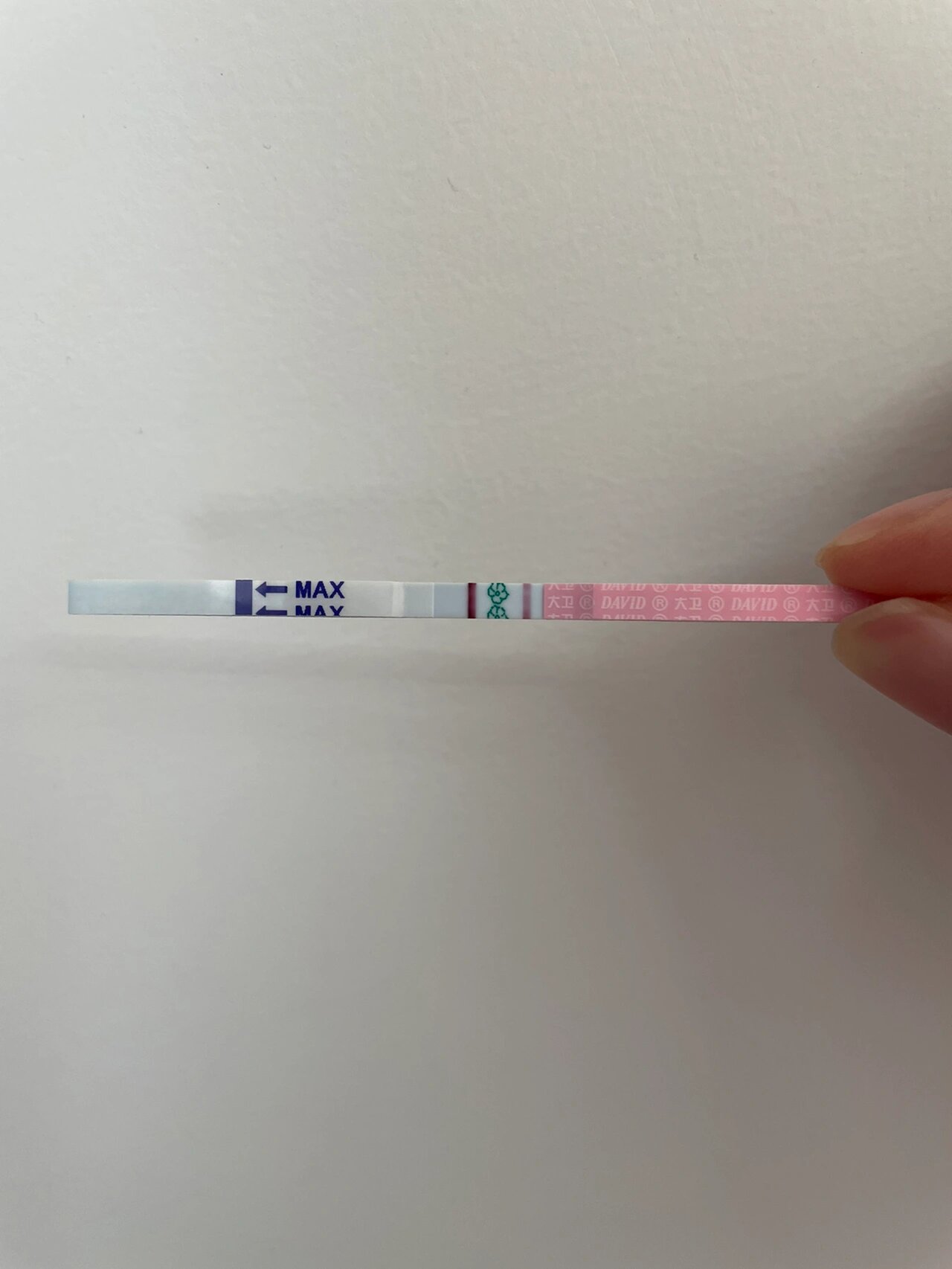 怀孕了排卵试纸强阳