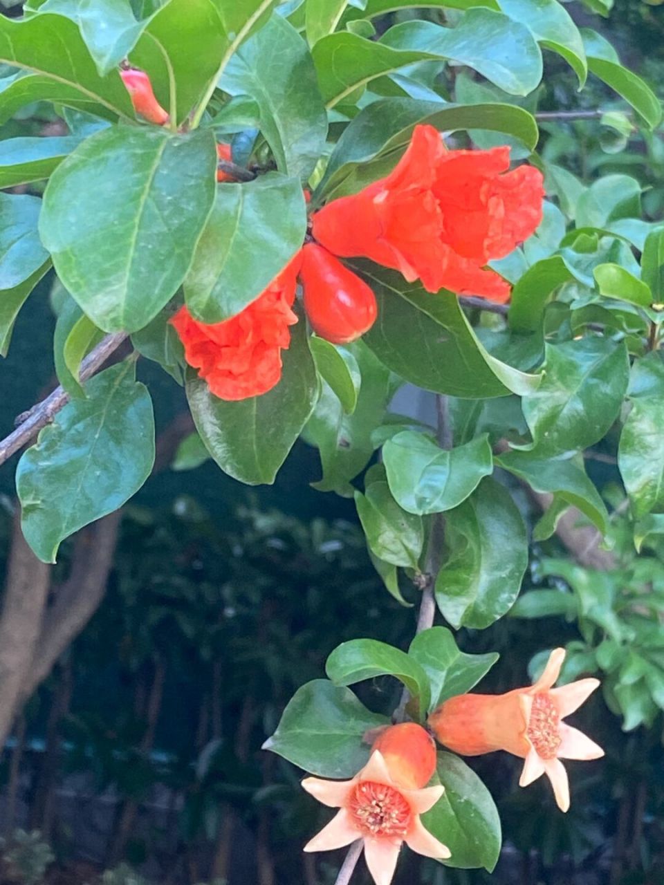 什么样的发票可以进行进项税抵扣 财税(2016)36号附件1第二十六条规定