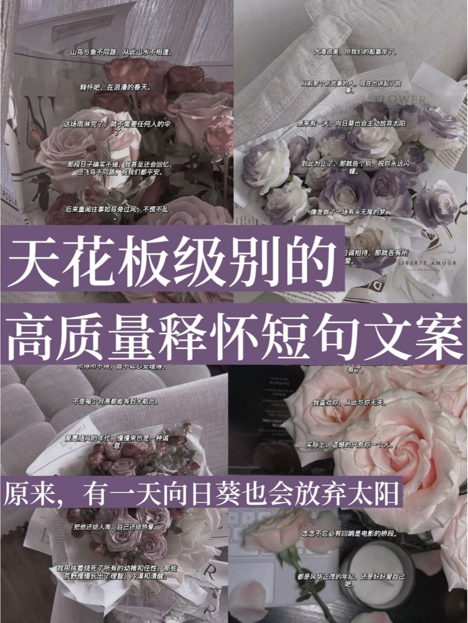 天花板级别的高质量释怀短句文案!  96哈喽,我是小咕!