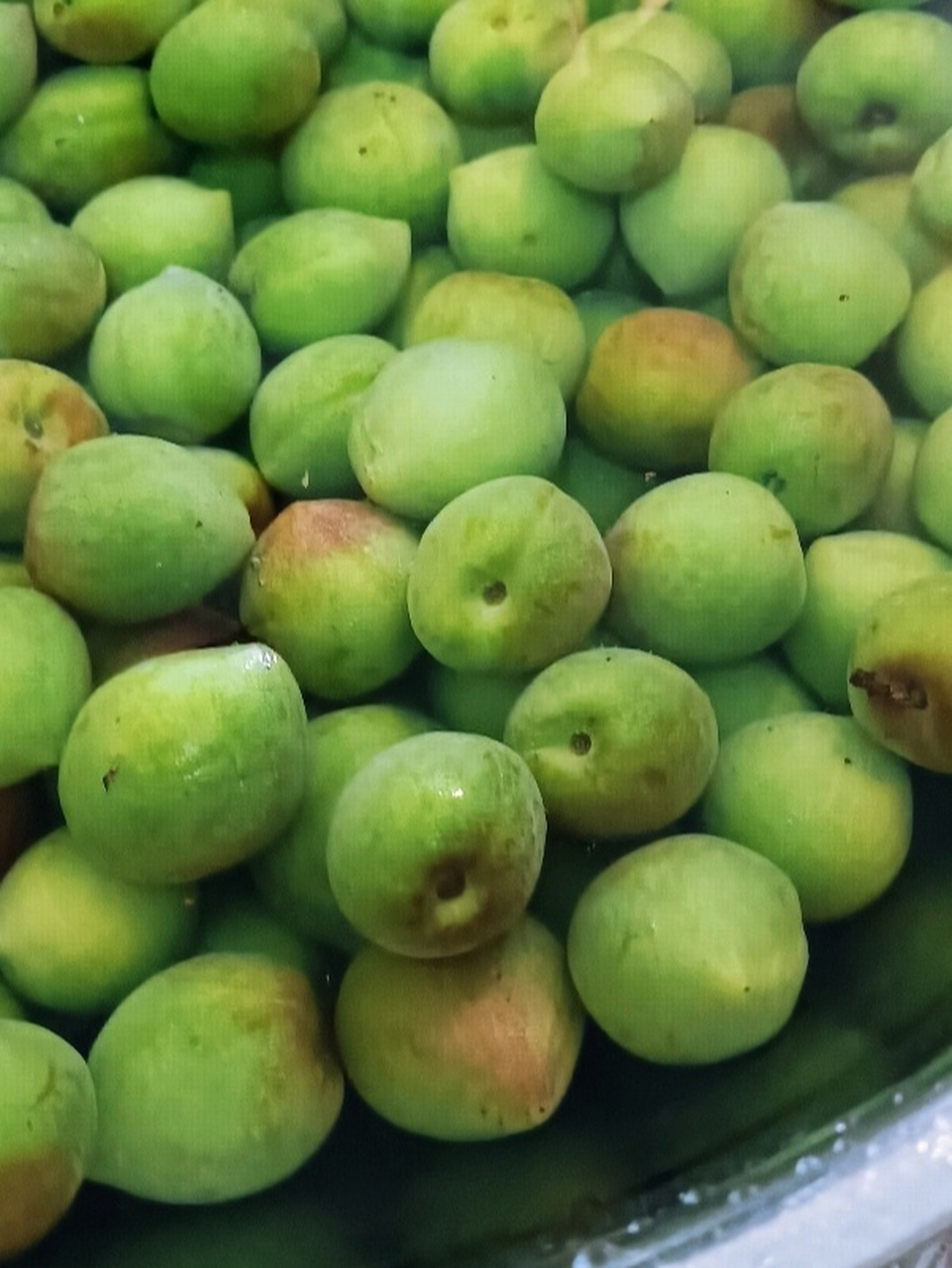 青梅 生津止渴,健胃消食,消炎止泻 青梅,是果梅树结的果,它含有大量的