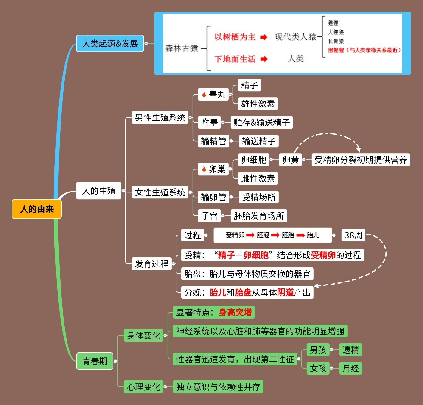 人之初教学思维图图片