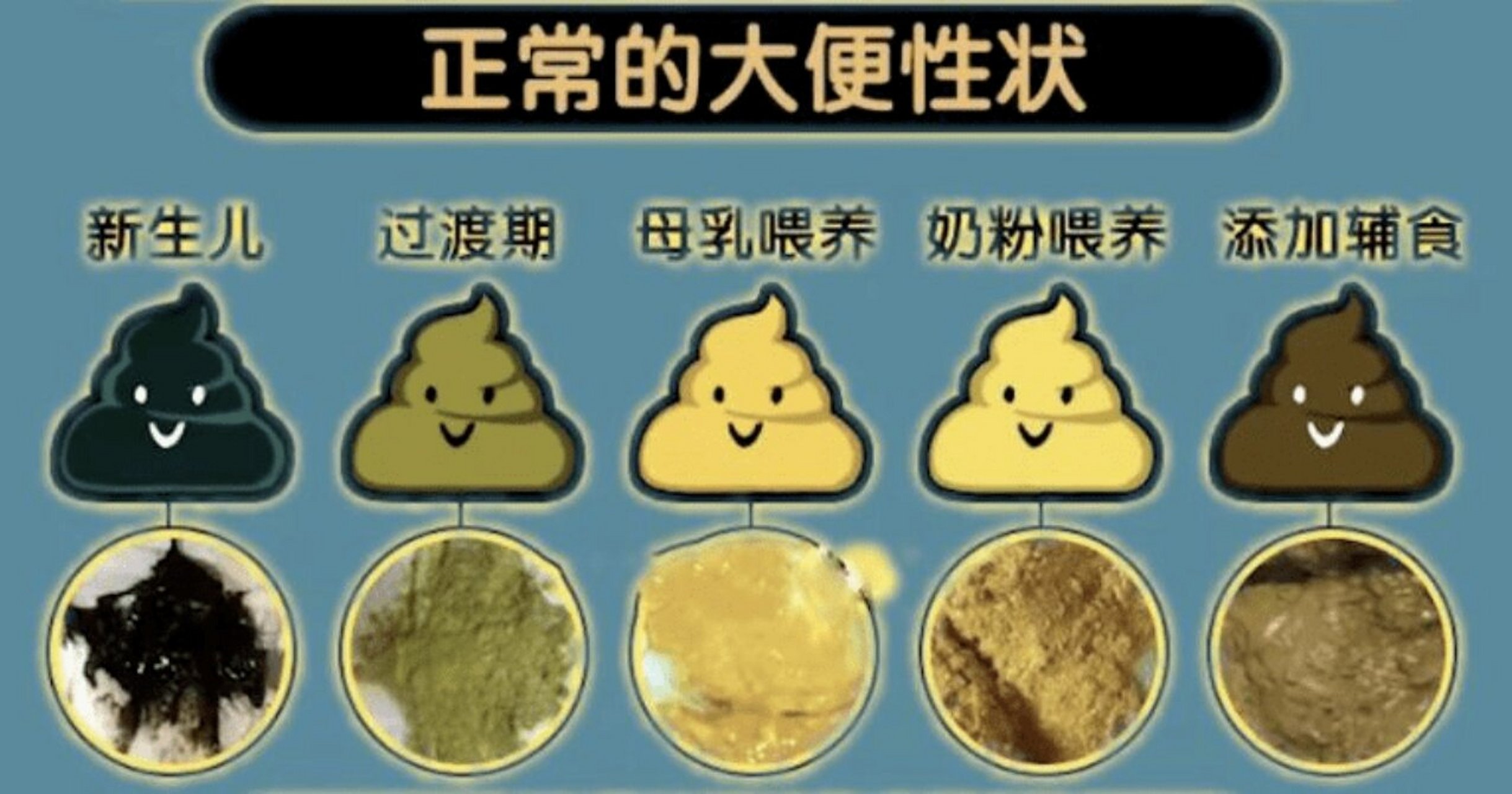 宝宝便便的讯息 母乳喂养的宝宝:金黄色糊状便便 黄色或金黄色,还有