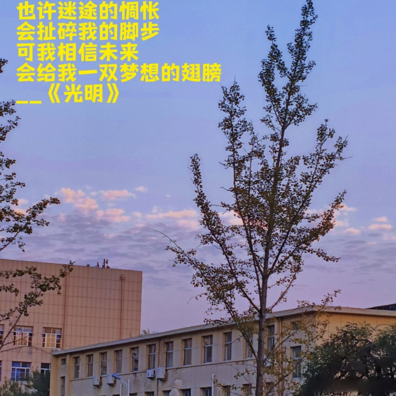 迷途惆怅图片