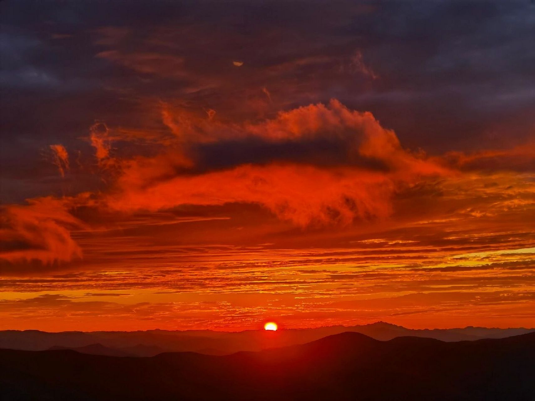 人历经磨难而不倒下,把那些从未有过的伤痛踩在脚下,你也可以浴火重生