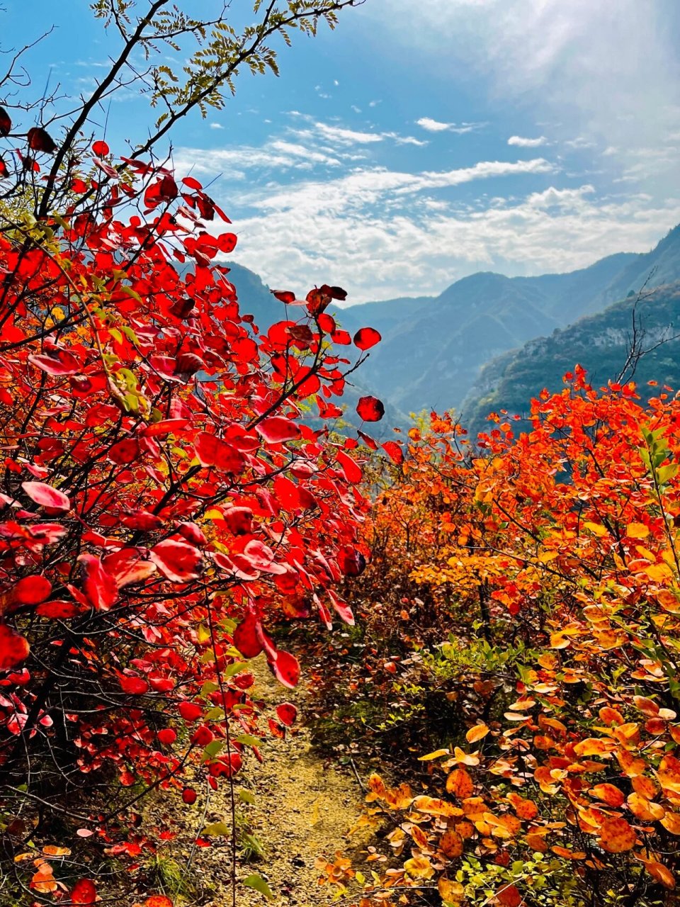 拍照 红叶 亲子游 郑州周边 导航01:焦作市中站区窄门峡谷 车程07