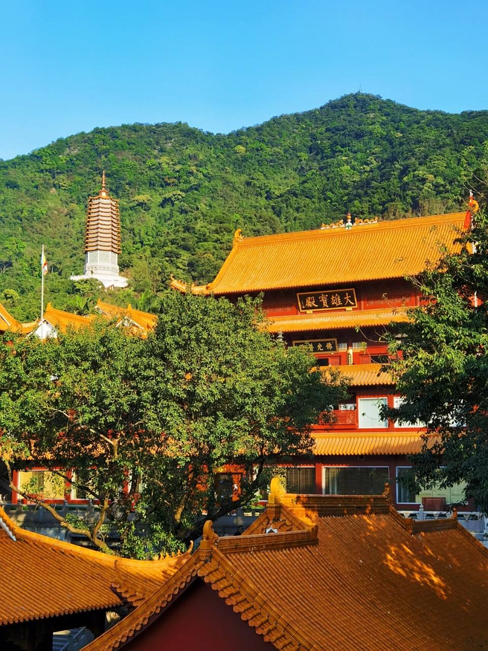 深圳弘法寺上香指南78 入园:在"仙湖植物园入园预约"上购 上山:门口