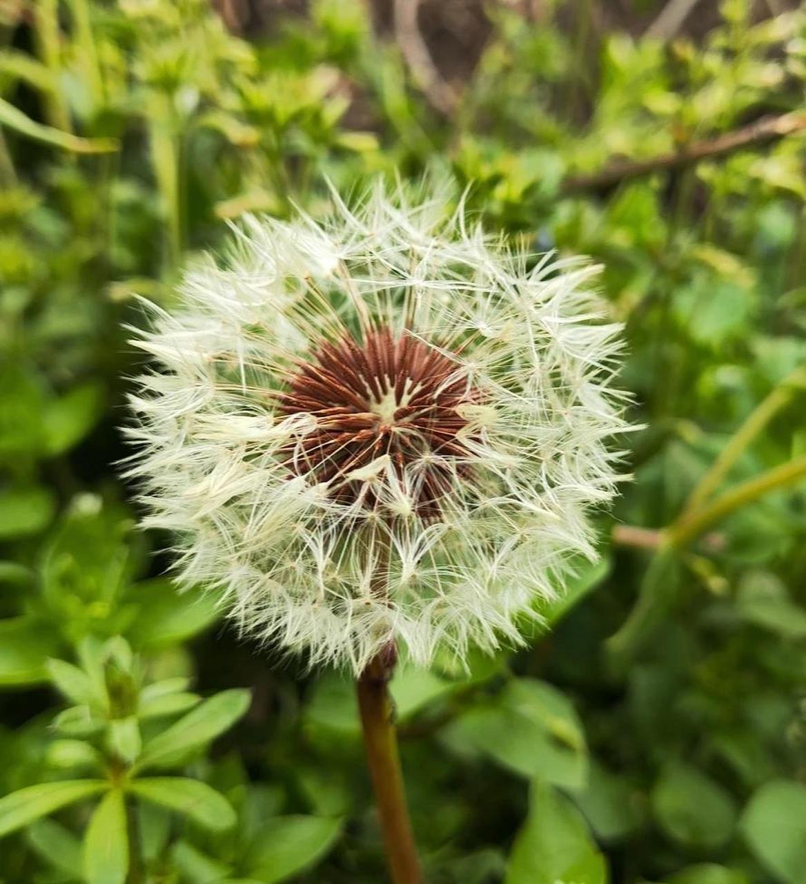 每日生活记录  勤能补拙,俭能持家 小成源于勤奋 大成源于积累