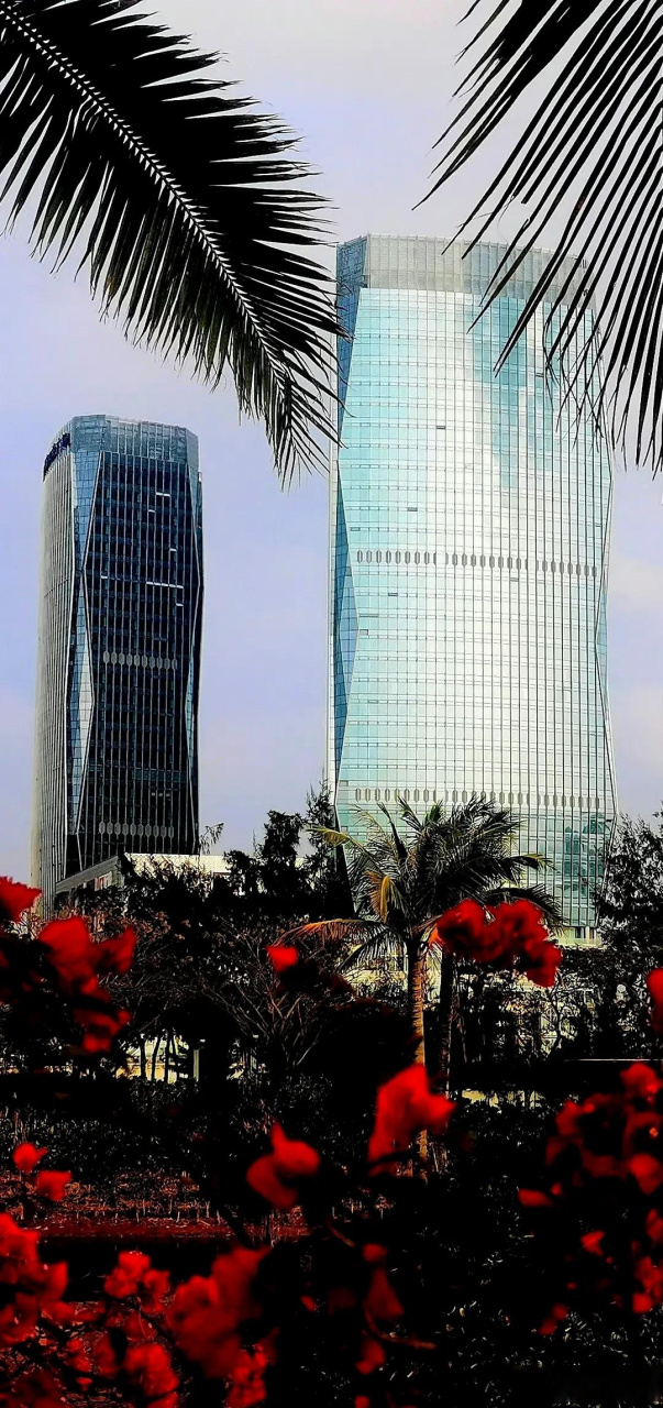 海南自由贸易港,海口市滨海地带,第一对双子塔,华彩海口湾双子塔,如梦