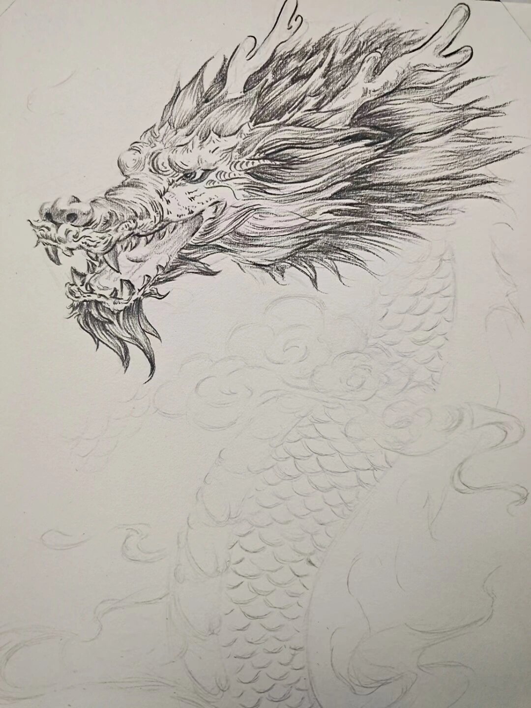 黑龙图片素描图片