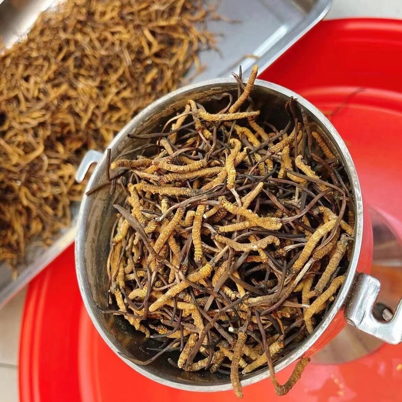 冬虫夏草粉,建议可以用断草研制 成本低,出品一样赞 虫草打粉,吃起来