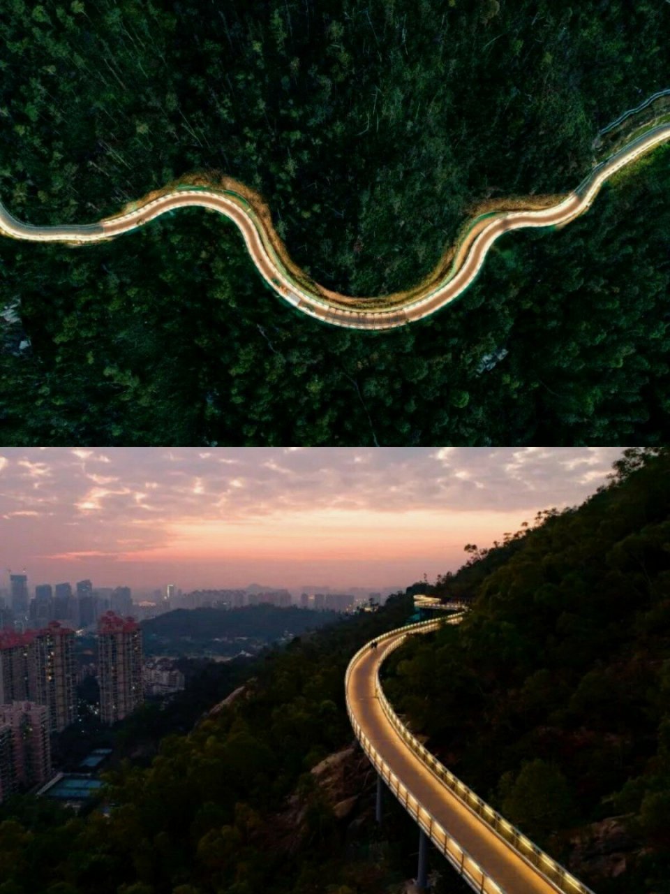 珠海景山道7815打卡醉美栈道,附预约攻略 99期待已久的【珠海