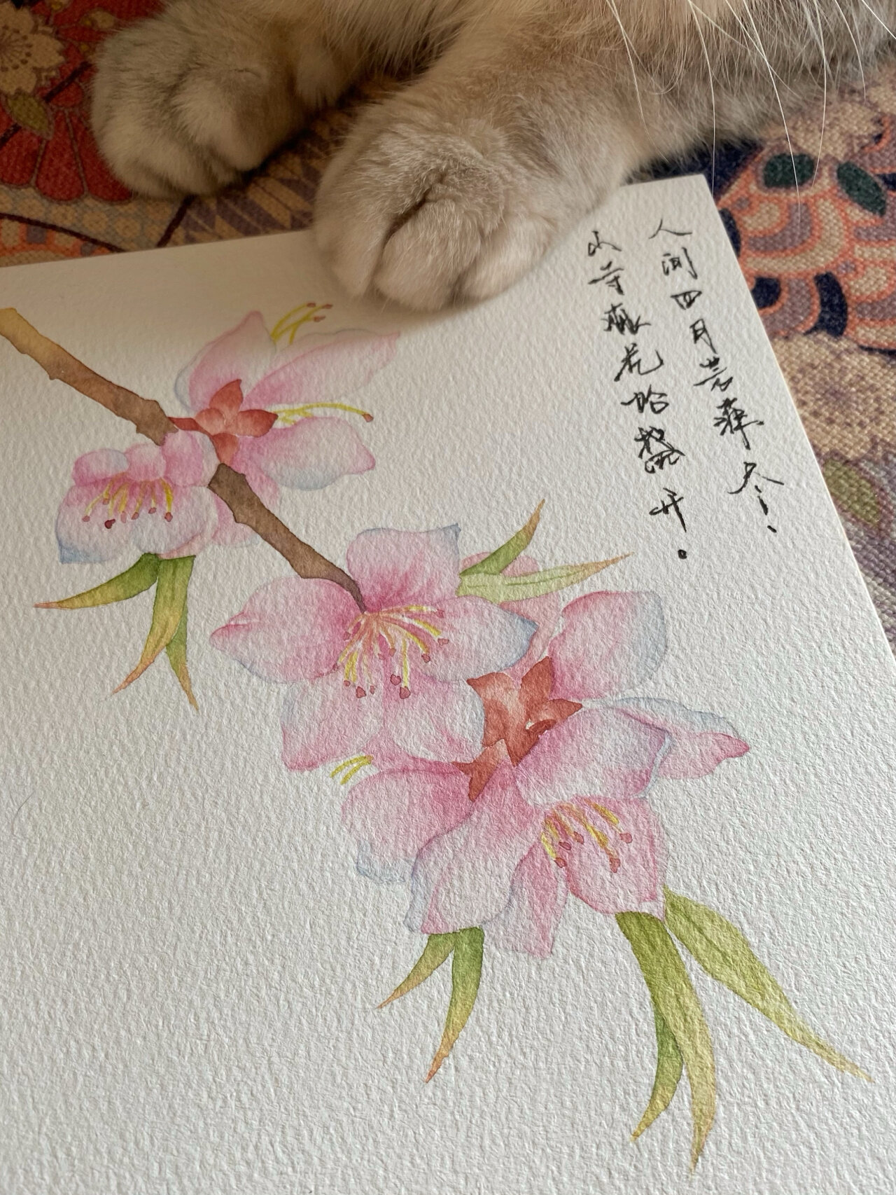 水彩画桃花94手绘过程