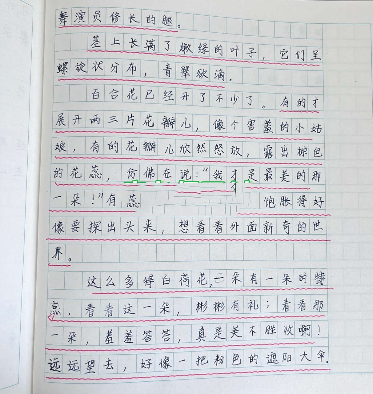 三下 习作一 我的植物朋友 百合