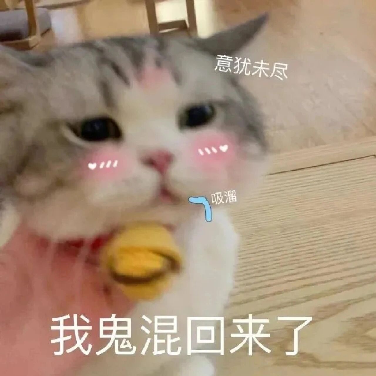 这表情包很难不爱