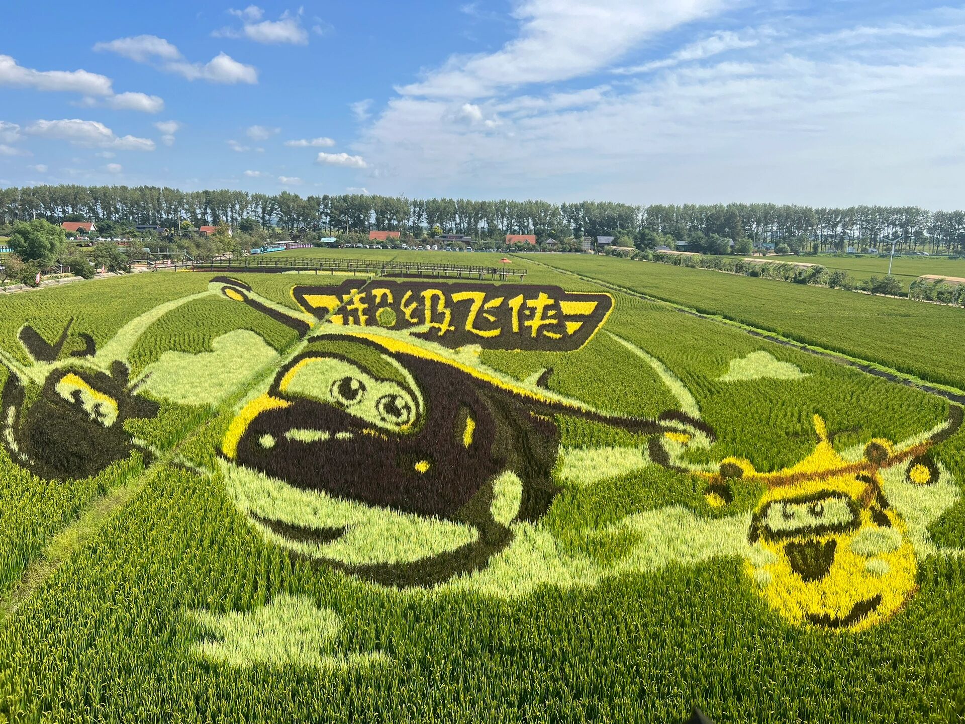 坐地铁2号线到师范大学站,d口出门就能看见直通车,最近直通车的发车