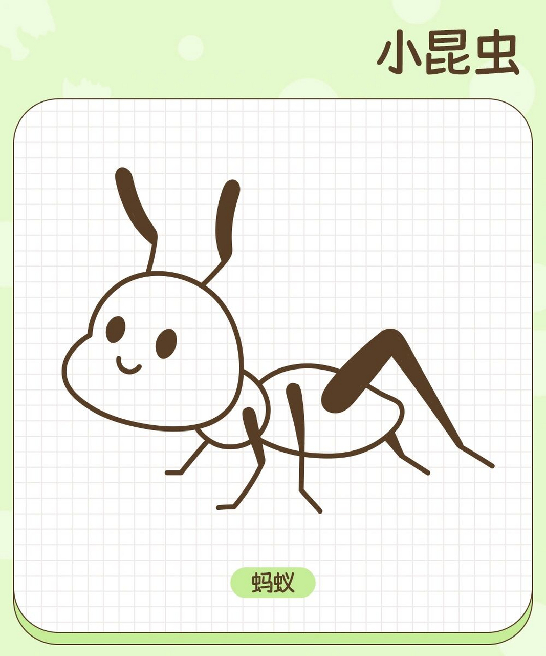 昆虫简单画法图片