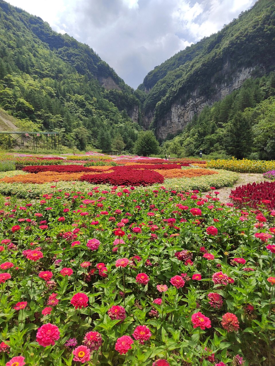 来曾家山一定要去花千谷! 99花千谷收费标准:20元/人 这个谷超级大!