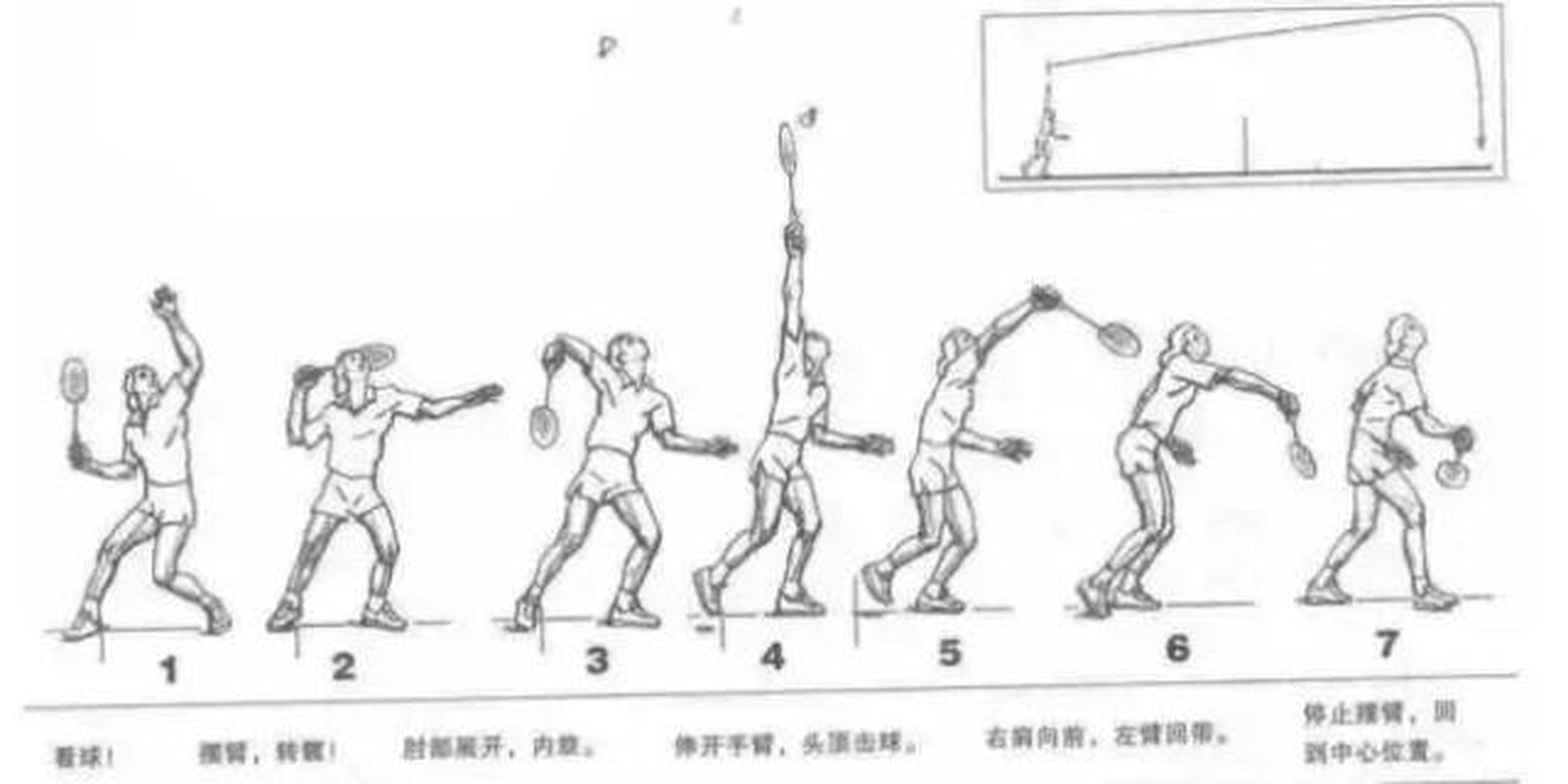 羽毛球正手高远球动作要领 1,准备动作:以右手持拍为例.