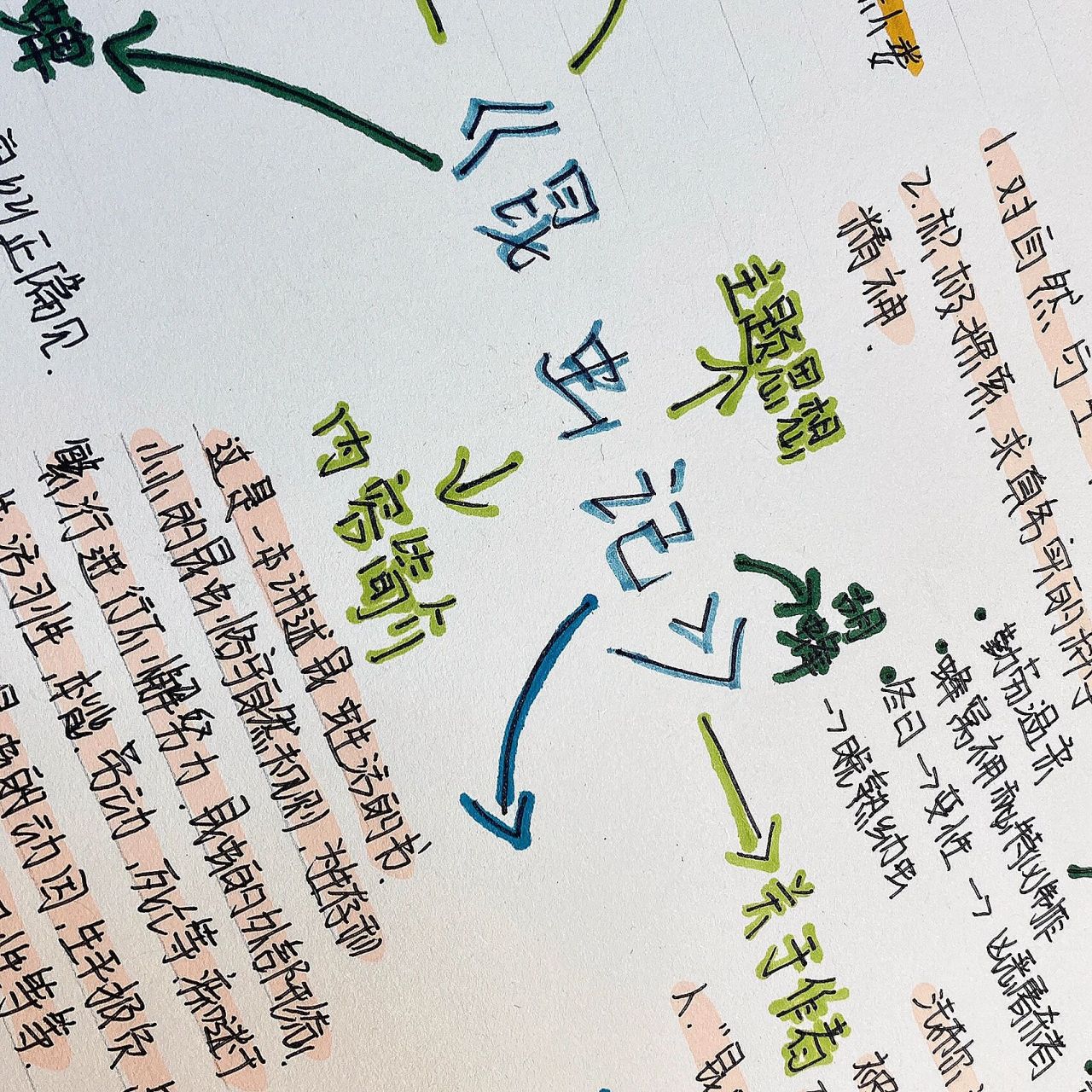 昆虫记思维导图