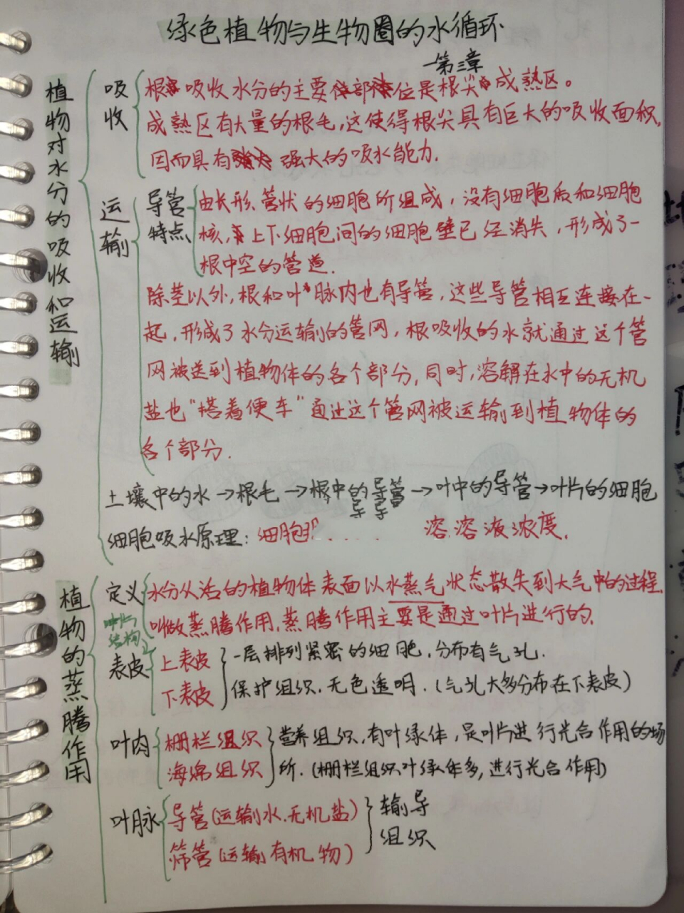 七上生物|绿色植物与生物圈的水循环笔记            蟹蟹喜欢 88