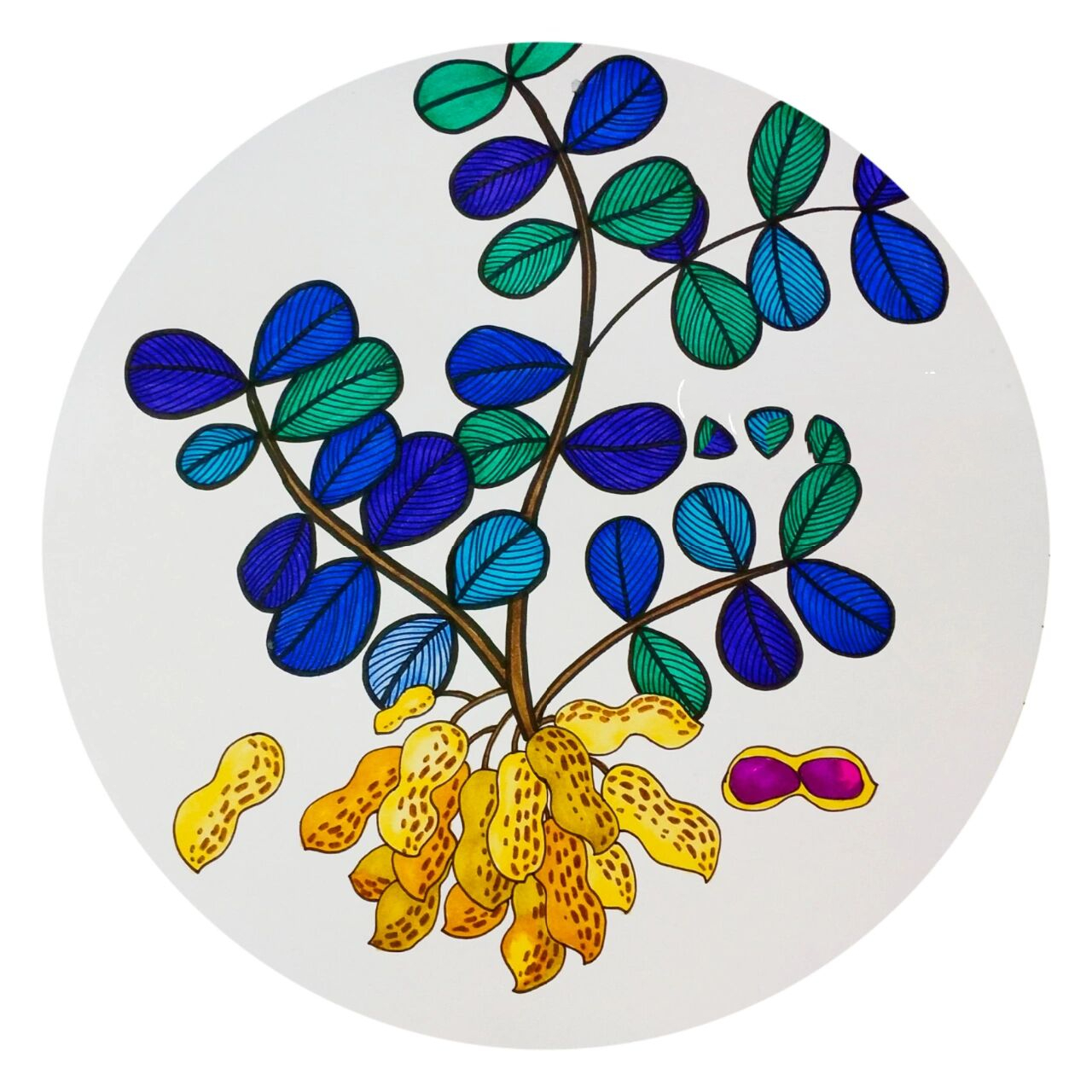 创意儿童画《花生》 适合七岁左右的小朋友