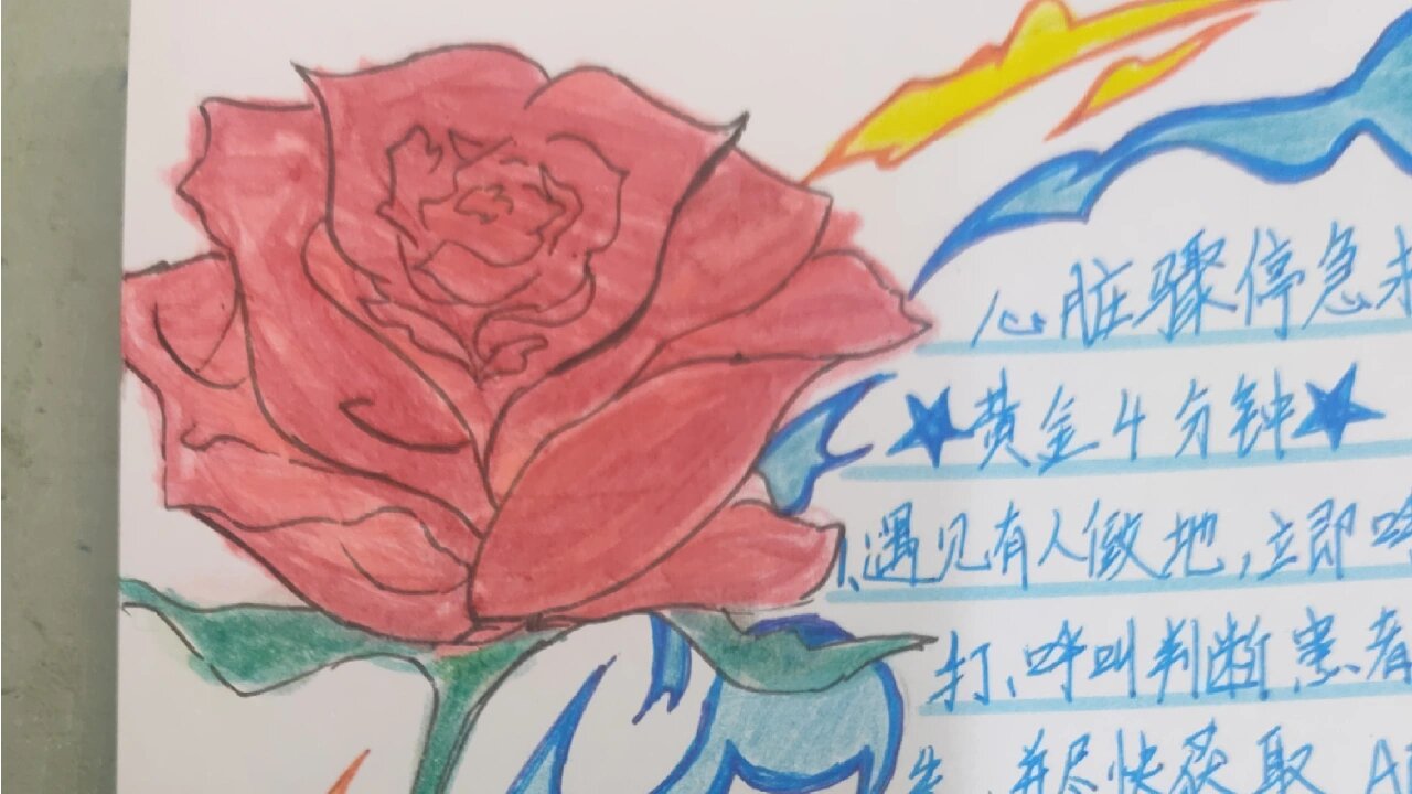 急救手抄报