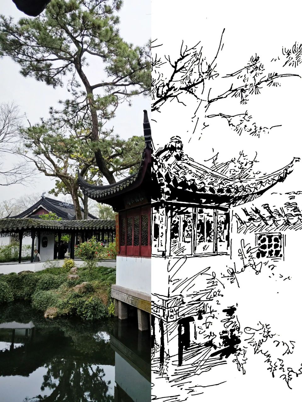 苏州系列99 |拙政园松风水阁 偷懒了三个多月,速涂一张洗洗睡