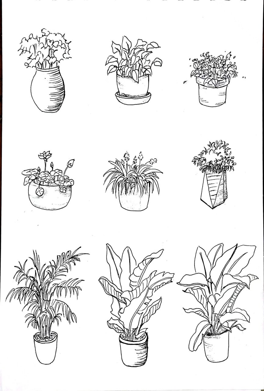 钢笔画练习28|盆栽画法1 能干扰你的,往往是自己的太在意力,能伤害你