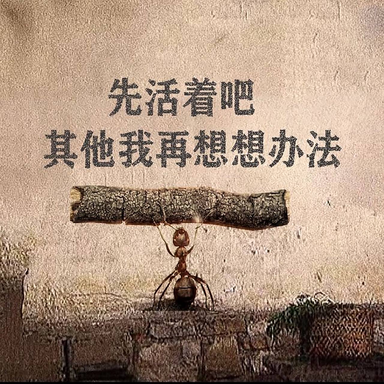 先活着吧 其他我再想想办法