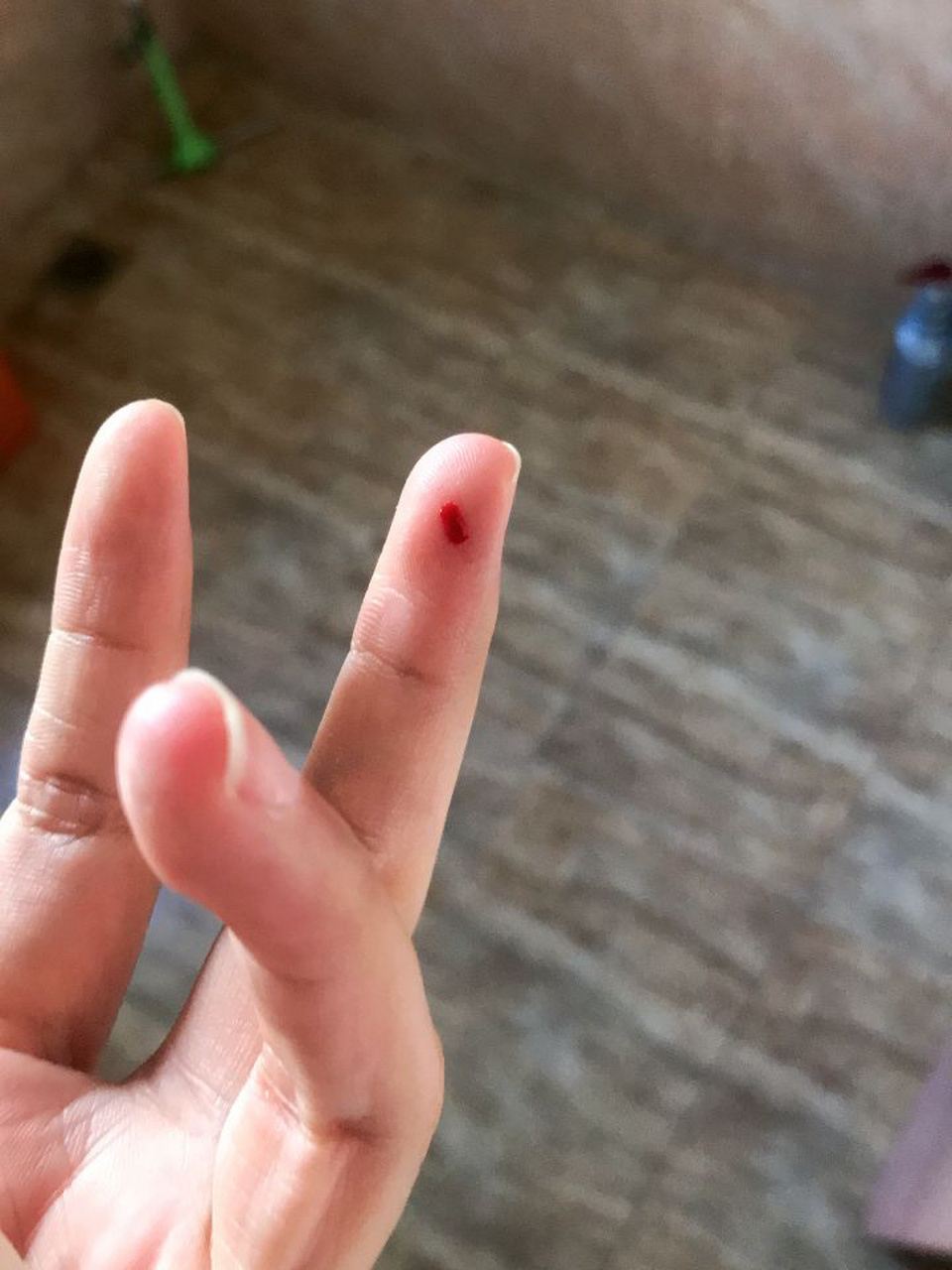 被自己养的金丝熊咬了 中午看他窝窝比较脏 就想换换 然后我开笼子