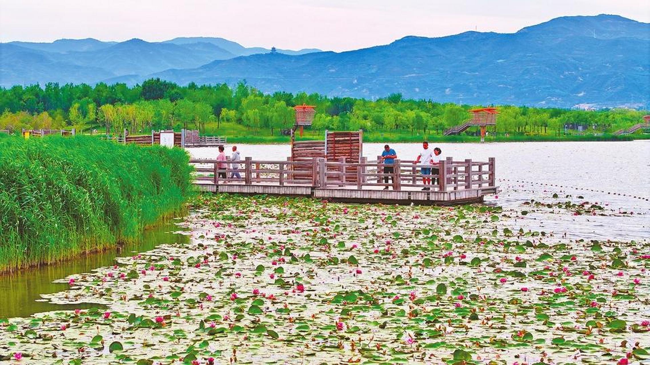 太原晋阳湖风景图片图片