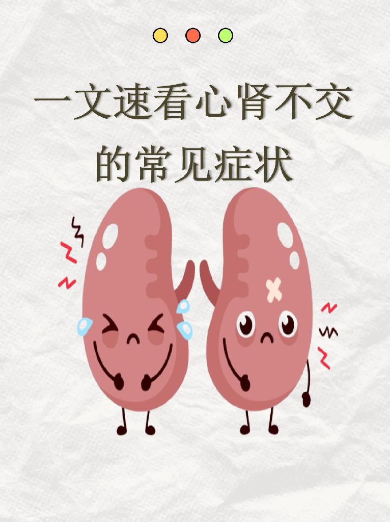 一文速看心肾不交的常见症状