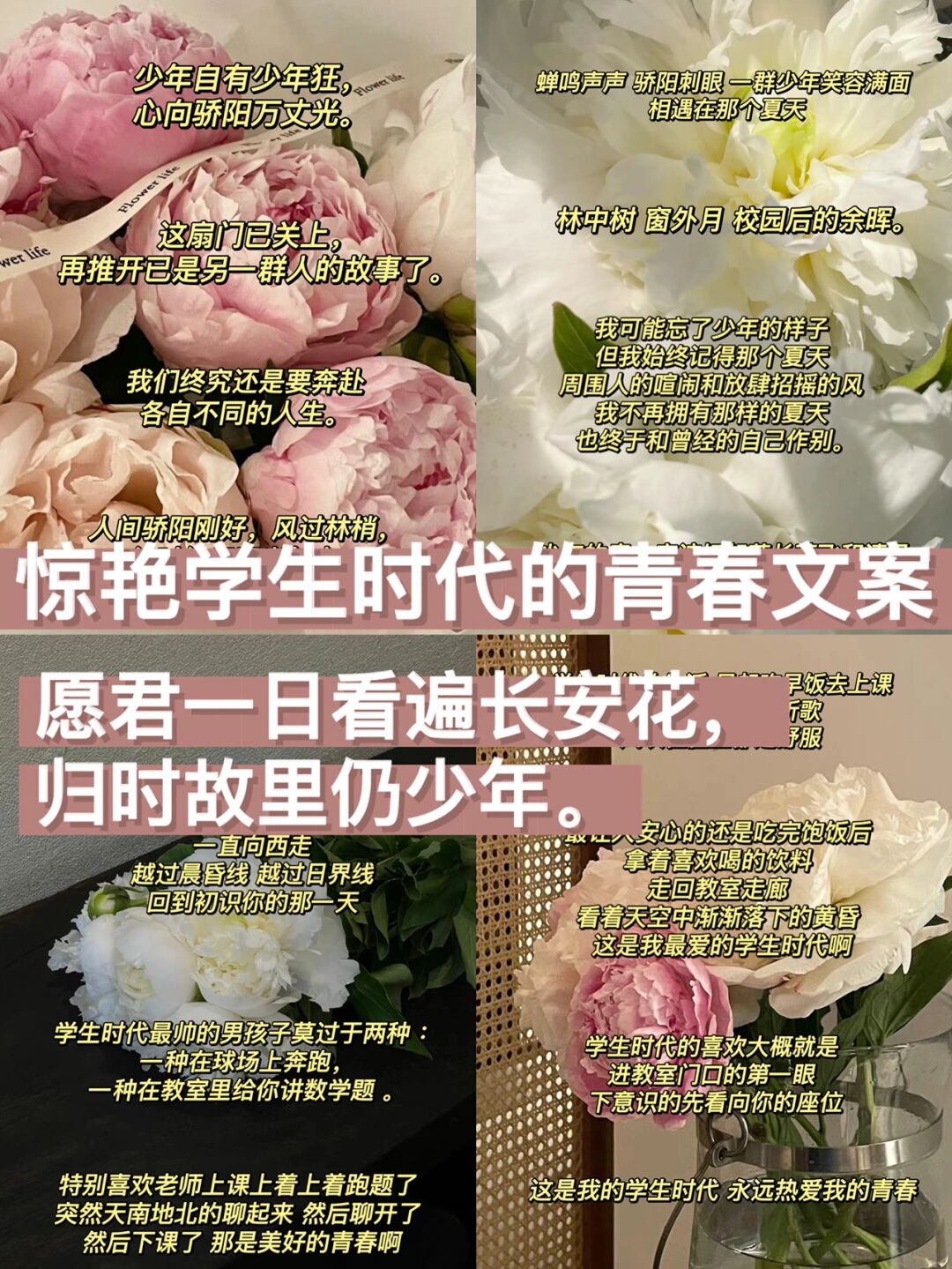 校园大赛每日爆料文案简短范文(容易上热门爆款文案)