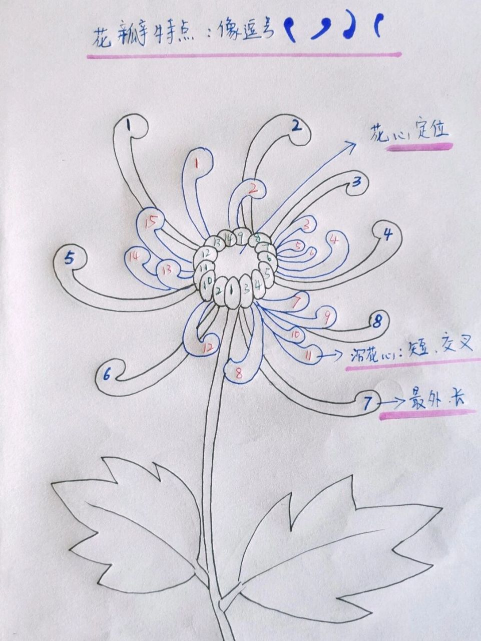 菊花分解画法,内附步骤图| 菊花画法口诀【自编口诀】: 91定位花心
