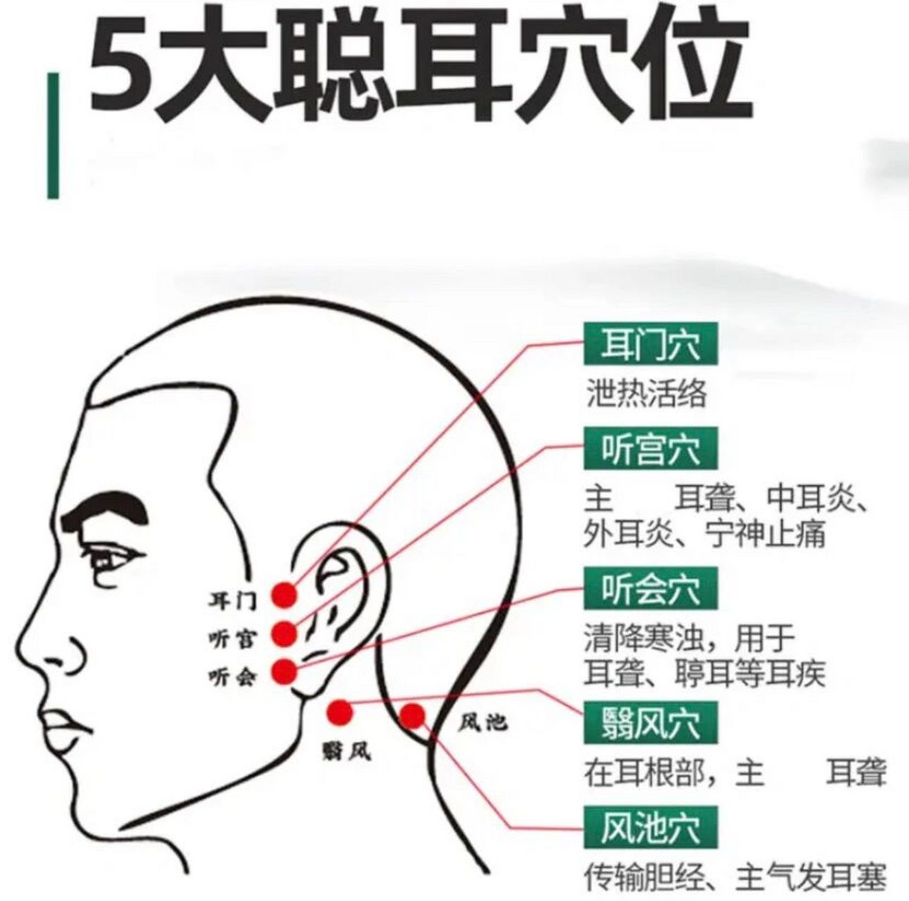 五大聪耳穴位90 现在耳鸣的现象非常多,临床上和生活中经常用到的有