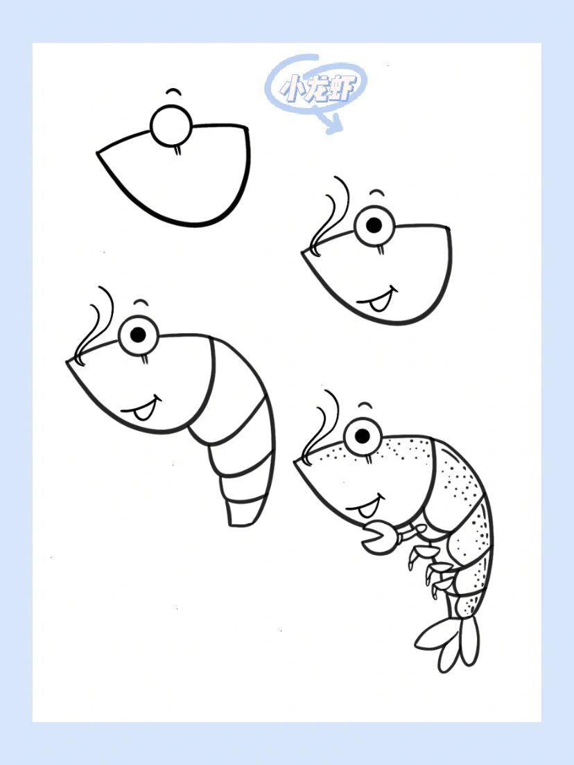 简笔画|动物篇 虾 29/6
