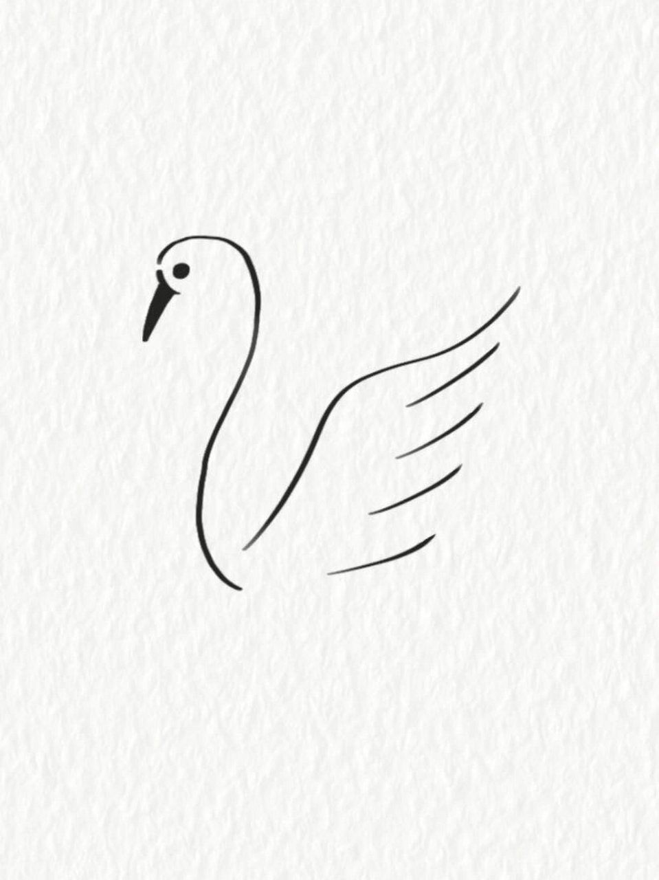 简笔画教程—白天鹅 超简单的白天鹅,这样那样就画完啦