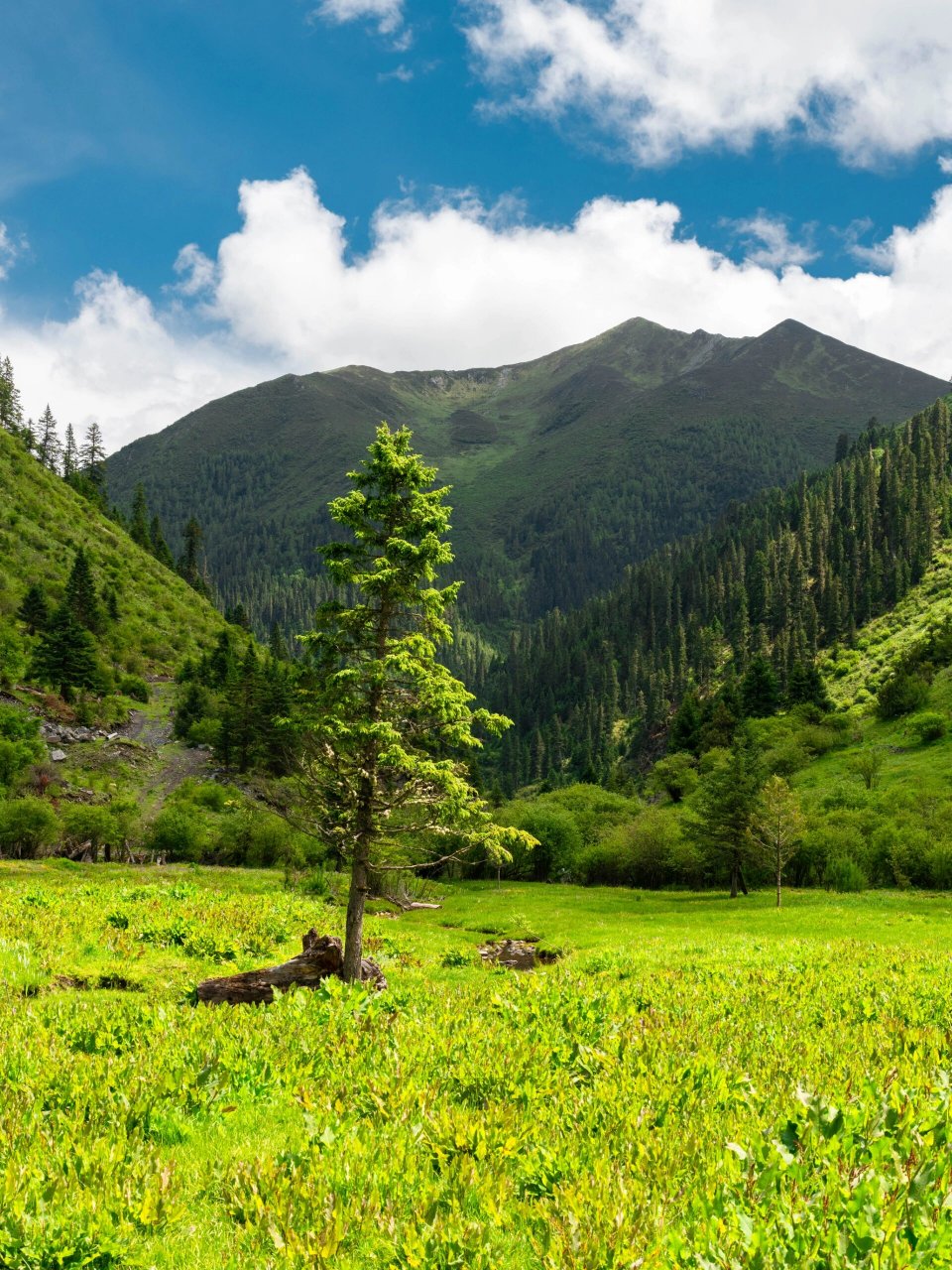 川西小众路线|毛丹线 毛丹线——金川县毛日乡(情人海)至丹巴县丹东镇