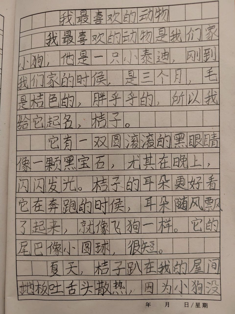 的动物》--小狗狗篇 周末孩子作业有一篇作文,就写我们家的小狗桔了