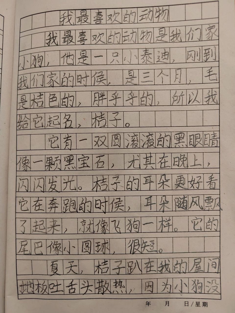 我喜欢的小动物作文图片