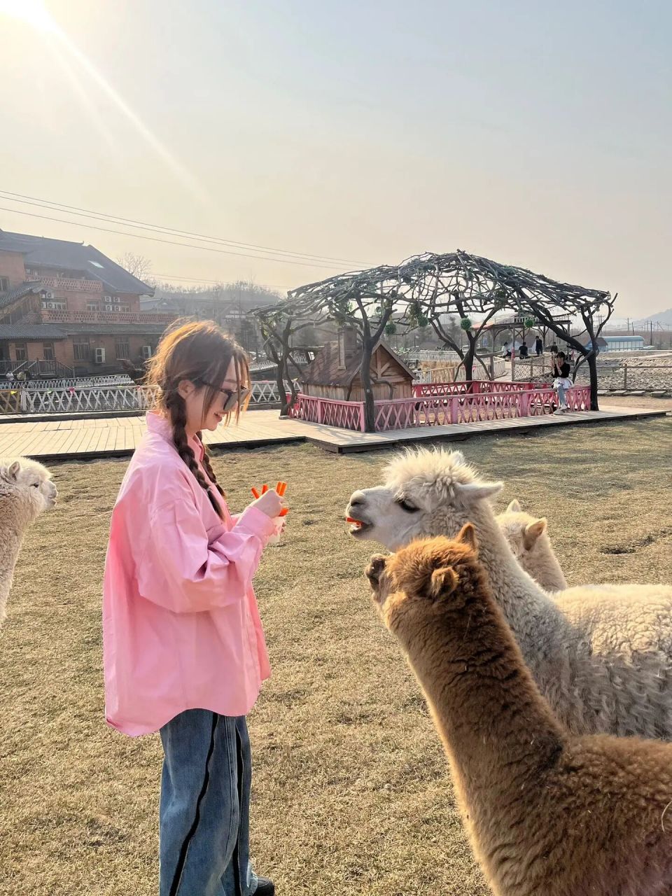 鞍山老院子动物园. 99鞍山千山老院子动物园9030.