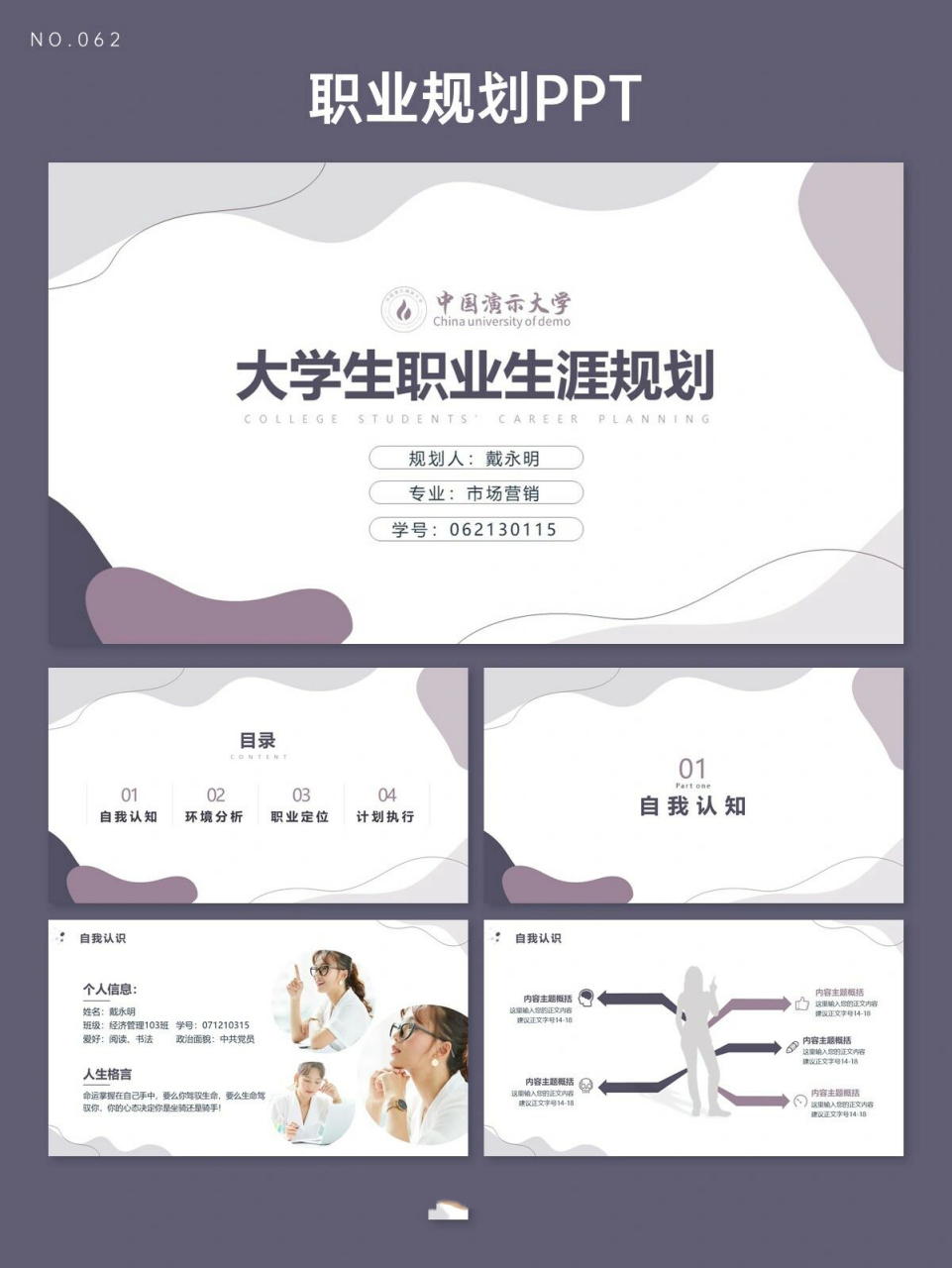 62紫色莫兰迪简约大学生职业生涯规划ppt 78模板共19页,所有文字均