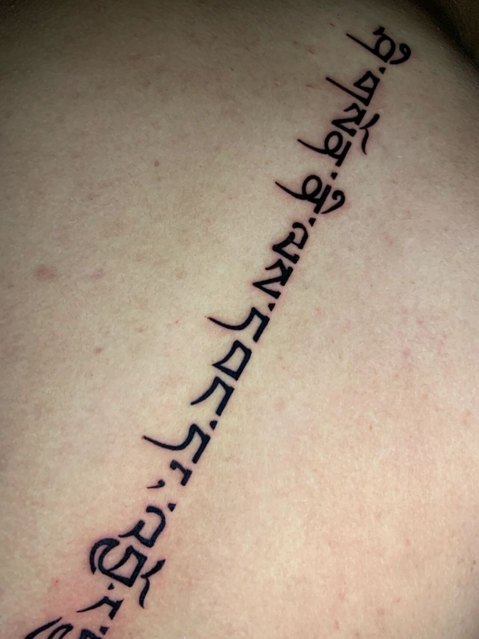 藏文纹身 脊椎藏文纹身,"生死有命富贵在天" 别看这么胖,小针扎起来一