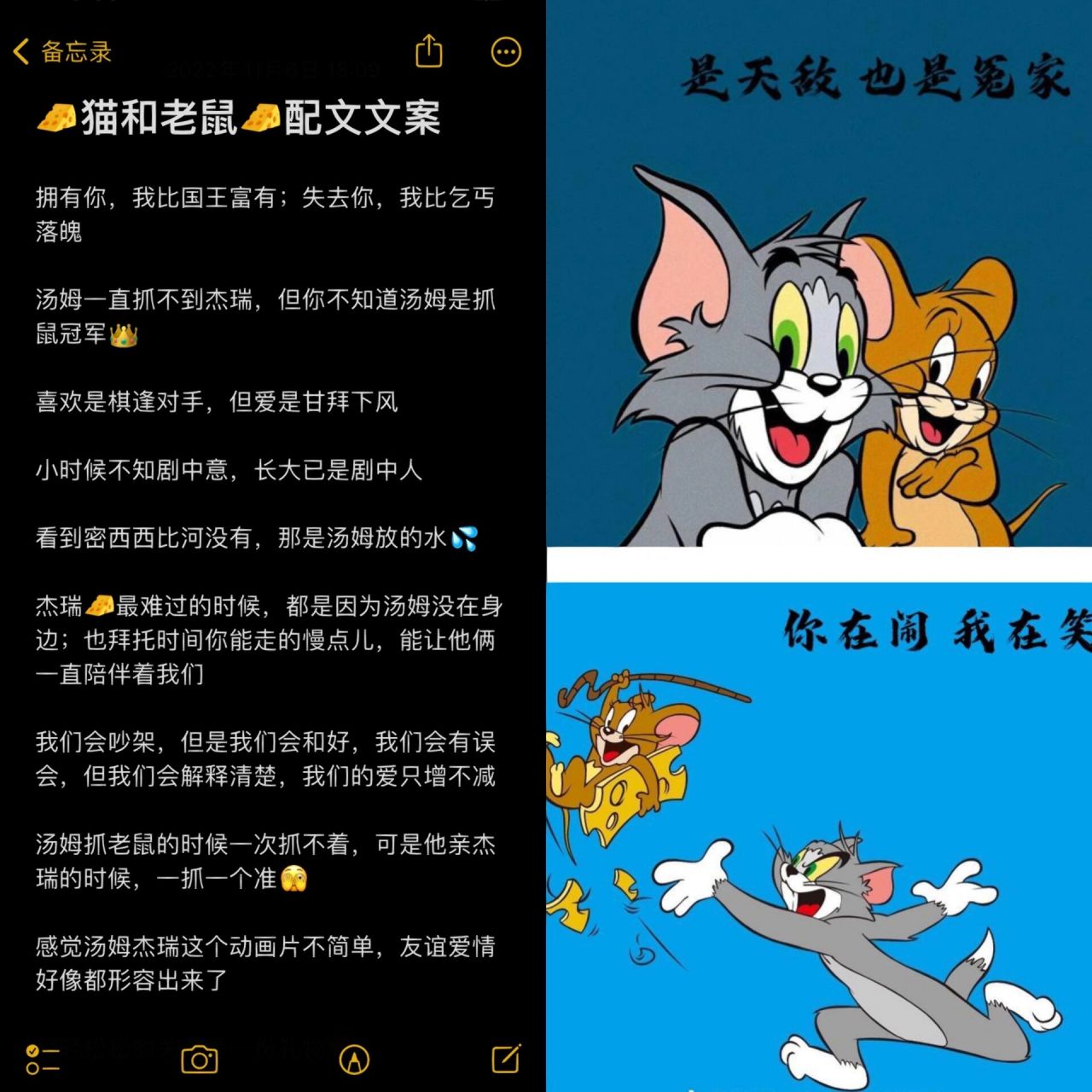 猫和老鼠0615配文文案        拥有你,我比国王富有;失去你,我比