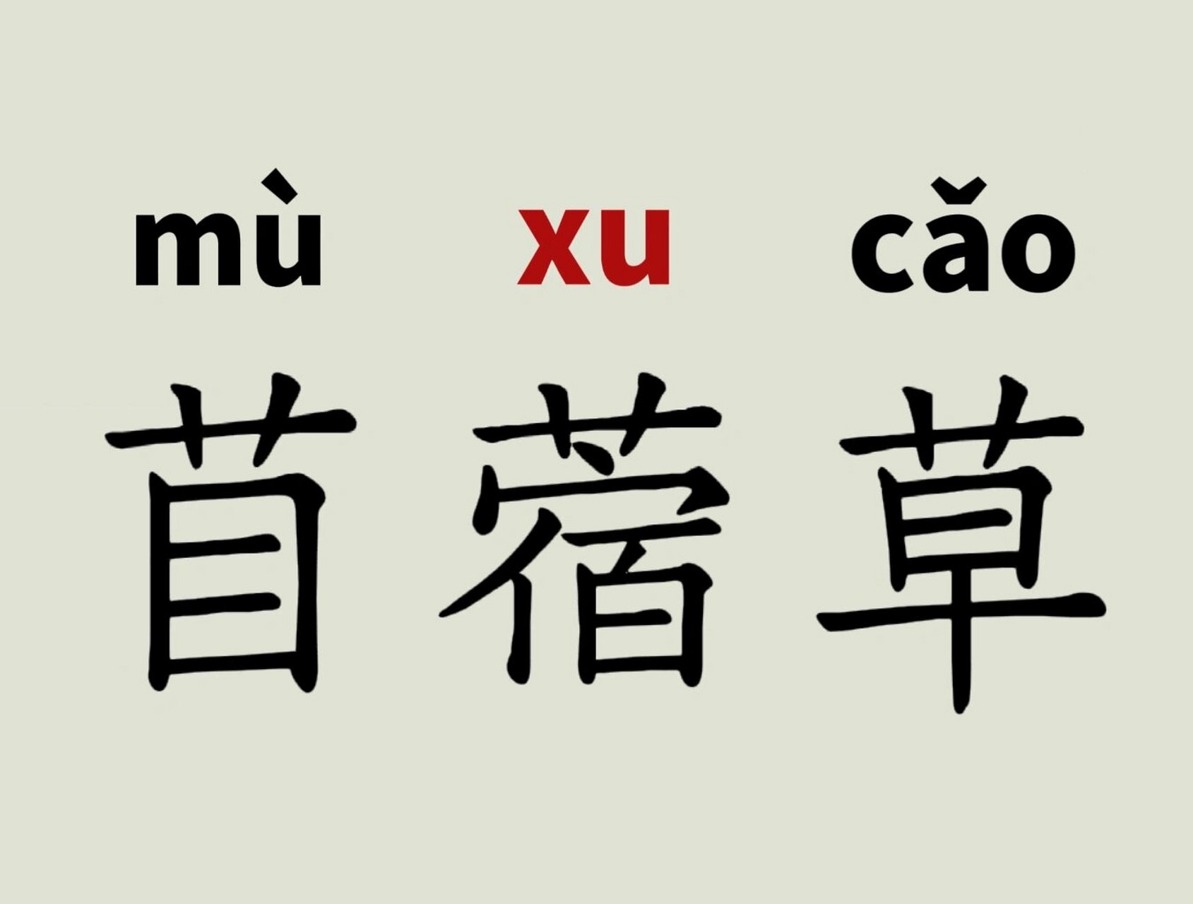 每天读对一个词485 苜蓿草的拼音  	 苜蓿  植物名.