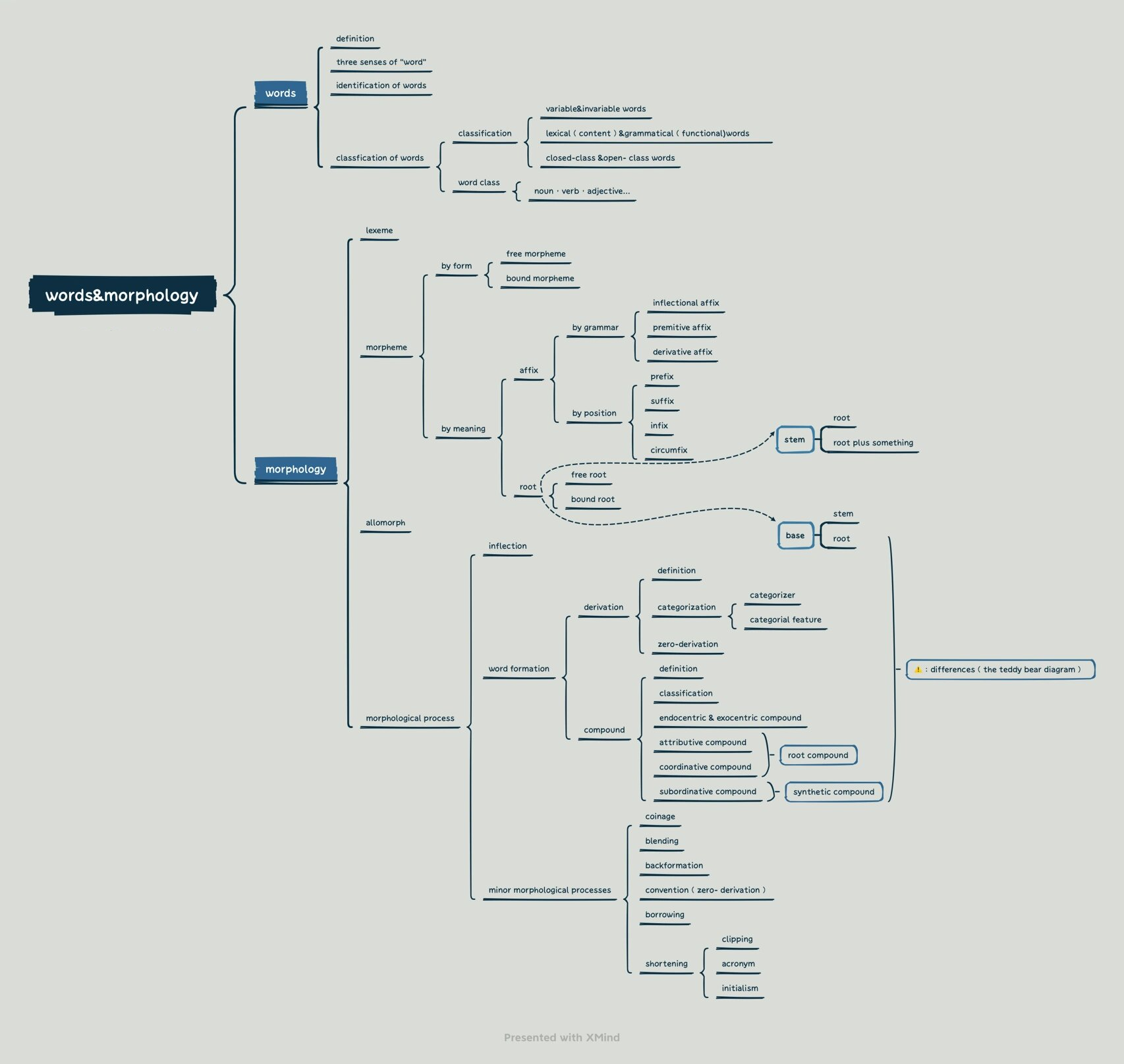 史上最全最清晰的形态学思维导图 🤩