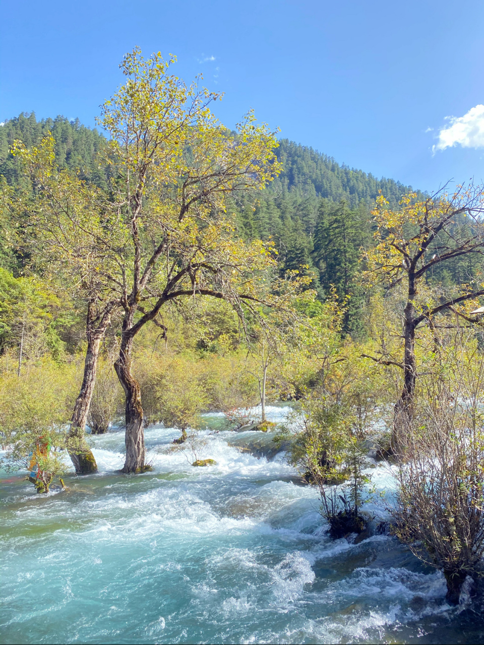 四川阿坝藏族羌族自治州:九寨沟名胜风景区 位于四川省阿坝藏族羌族