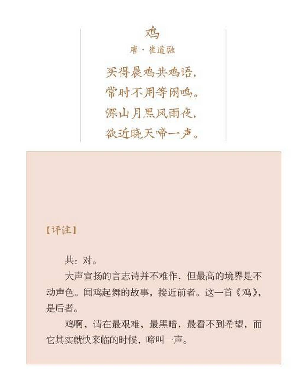 早自习# 崔道融《鸡》