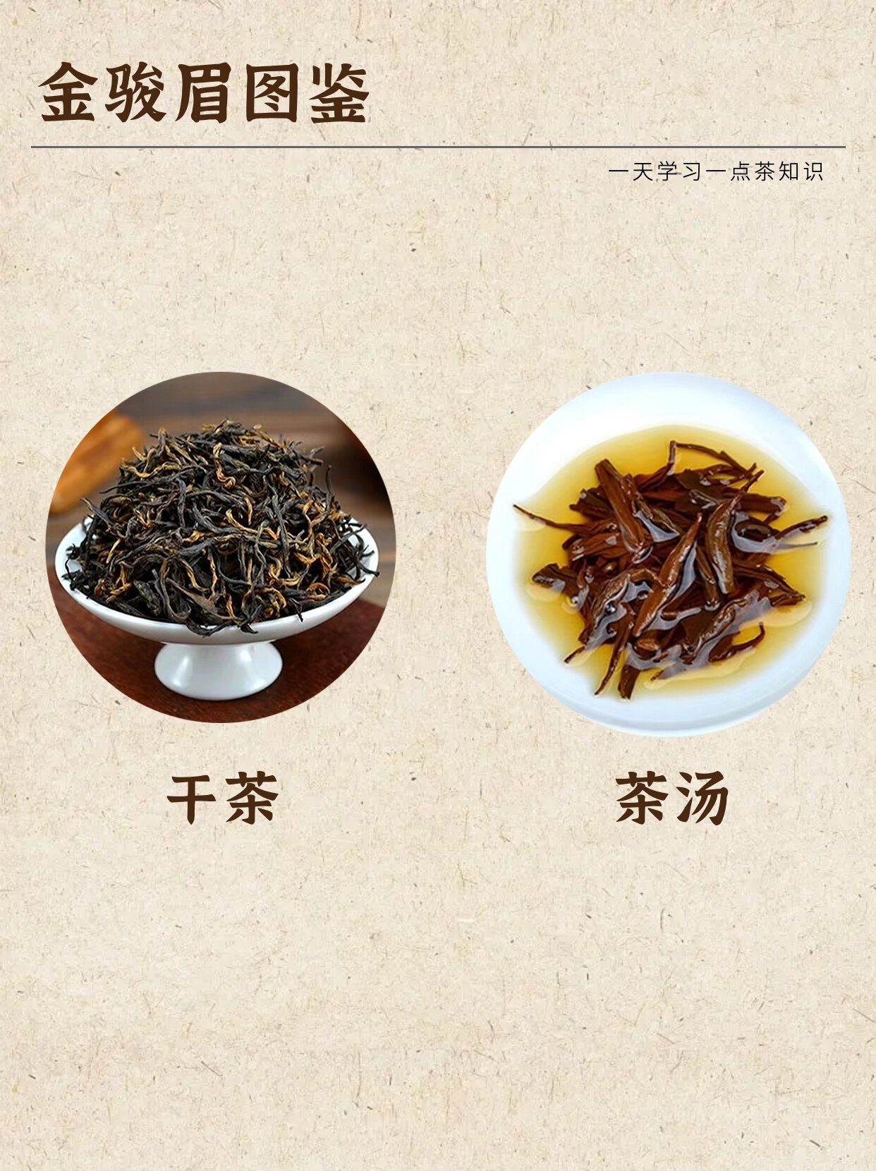 大江种茶叶（大江怎么莳植
）《大江茶树》